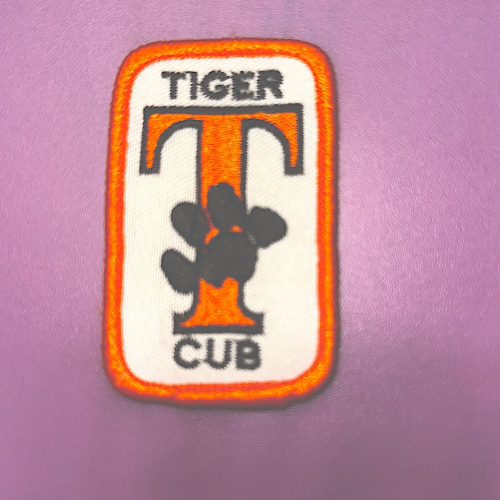 Boy Scouts Vintage Patch